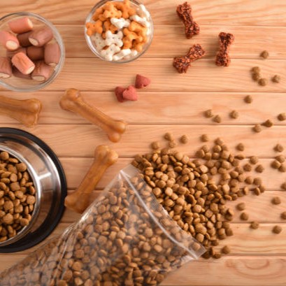 Photo of beautifully arranged
dog food