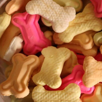 Photo of beautifully arranged
dog food