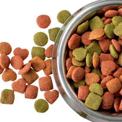 Photo of beautifully arranged
dog food