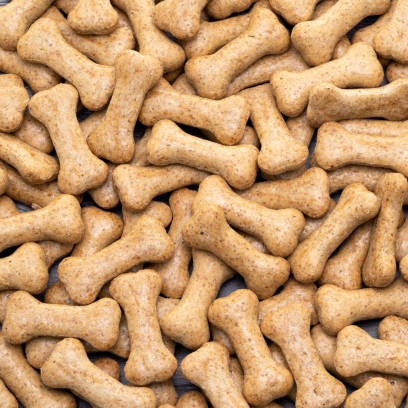 Photo of beautifully arranged
dog food