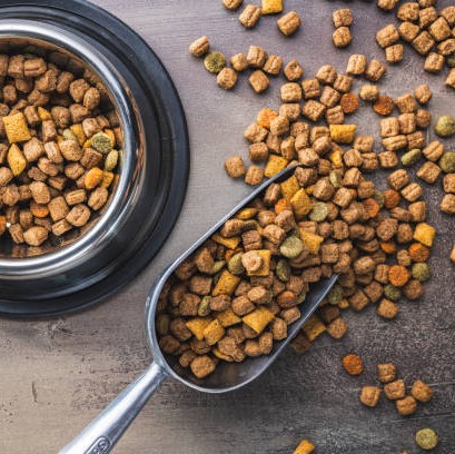 Photo of beautifully arranged
dog food