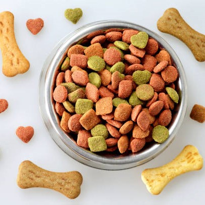 Photo of beautifully arranged
dog food