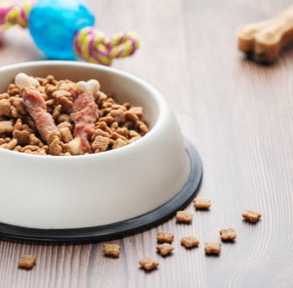 Photo of beautifully arranged
dog food
