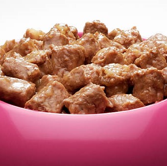 Photo of beautifully arranged
dog food